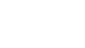 NicePng_energy-star-logo-png_3705175